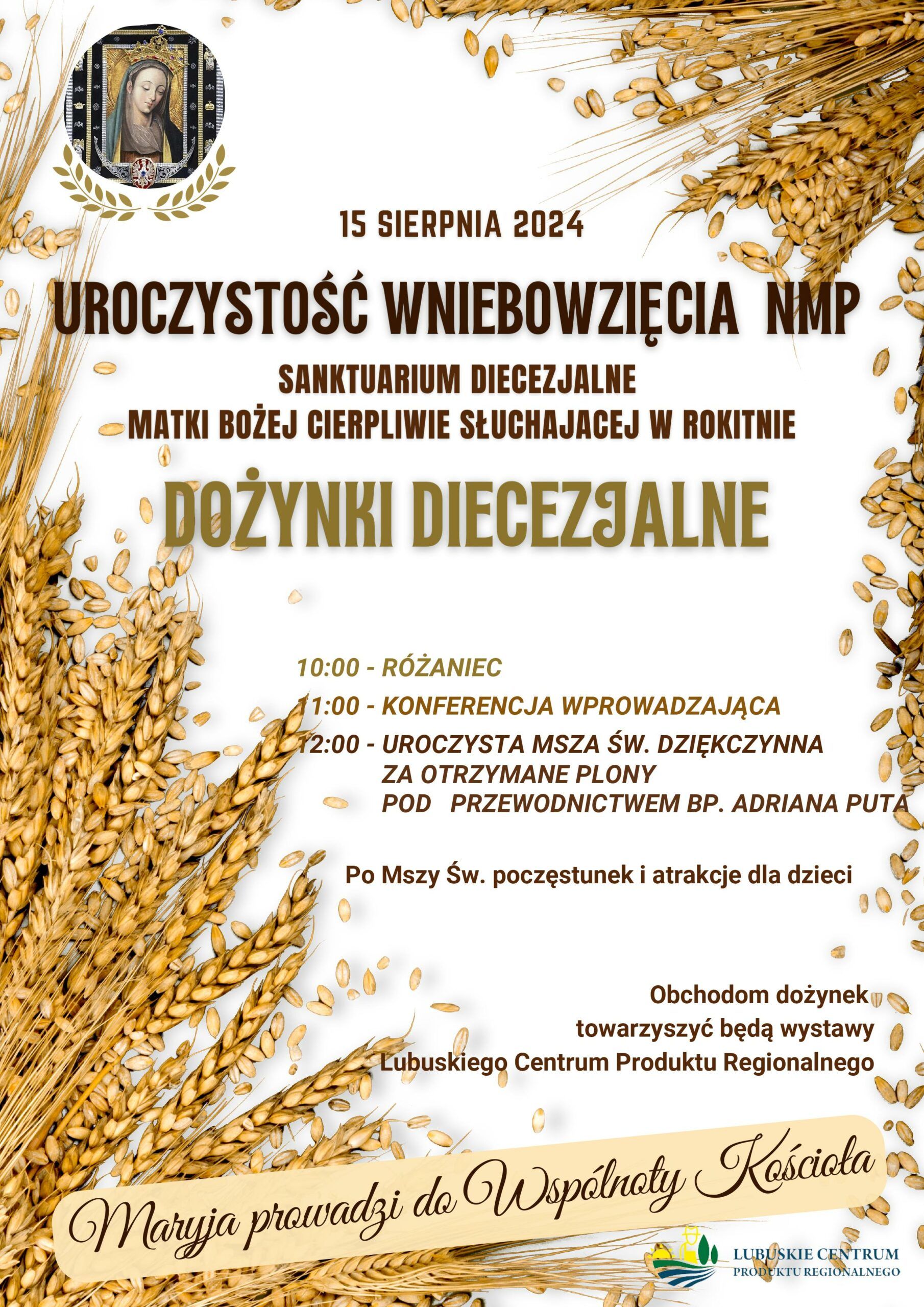 Dożynki diecezjalne w Rokitnie