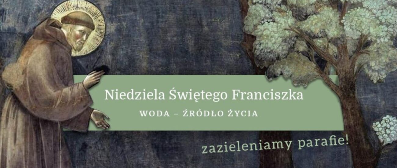 Niedziela św. Franciszka