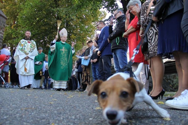 Akcja „Kromka chleba dla sąsiada” i Niedziela św. Franciszka w Jaczowie